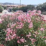 Raggio Di Sole - * Olbia