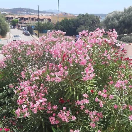 Raggio Di Sole - * אולביה